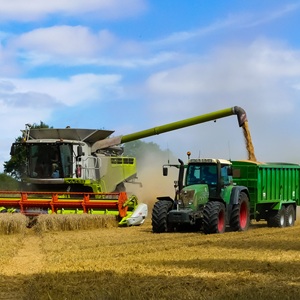 Сельхозпродукция